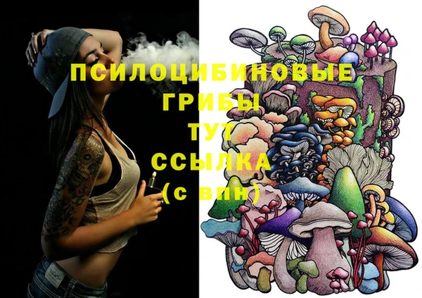 молекула духа Алексеевка